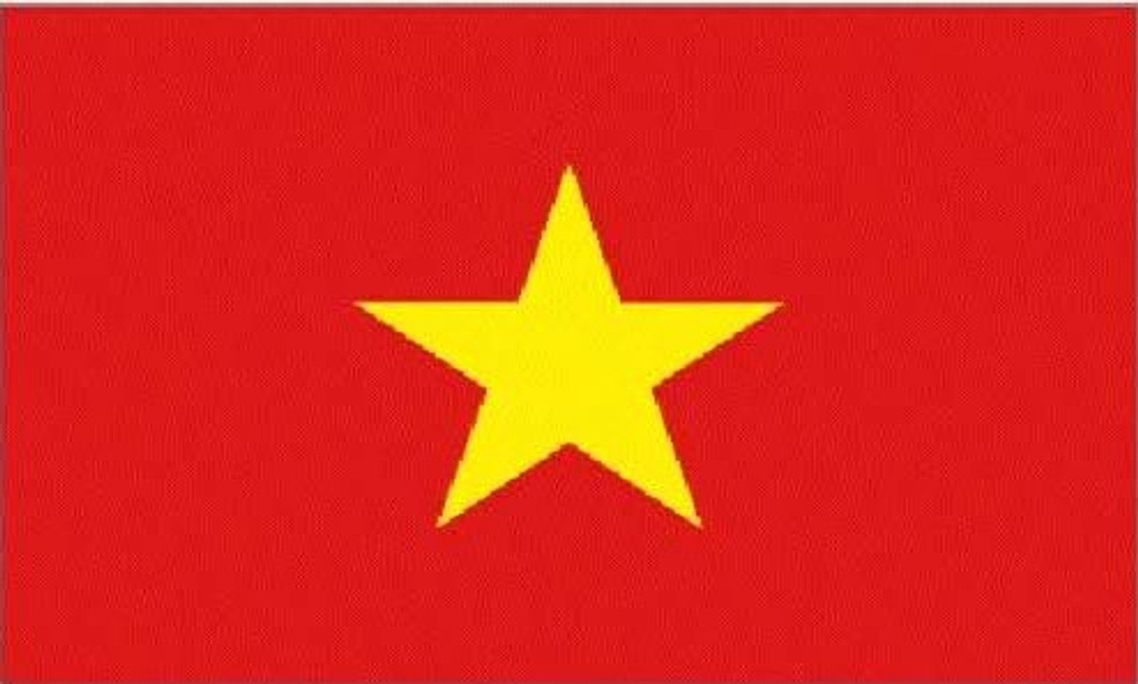 Vietnamese Language